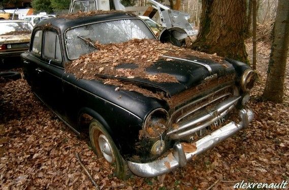 Épave de voiture ancienne abandonnée sous les feuilles mortes
